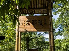 -东天目山风景区