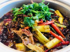 -先机泉水鸡汤(南山老君洞店)