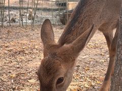 -观唐（国际）度假村温泉