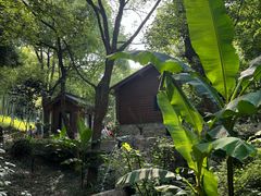 -东明山森林公园