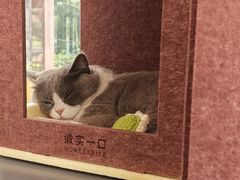 -天目湖涵田度假村