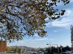 -7-ELEVEn(青岛汇泉商业广场店)