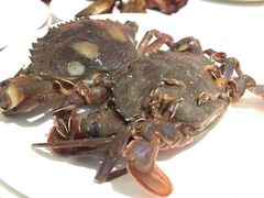 -诱货海鲜自助火锅(爱琴海购物公园东百店)