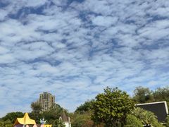 -南宁市凤岭儿童公园