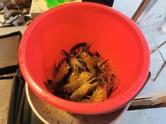 -光头佬室内钓虾场·烧烤·团建·亲子(中山八路店)