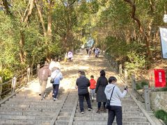 -上海佘山国家森林公园西佘山园