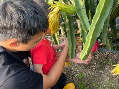 -尚果生态采摘园