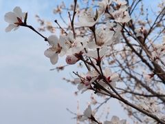 -鹫峰国家森林公园