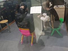 -五度乐器培训(清扬路店)