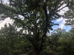 -金典银峰老鹅馆·昆山菜(亭林公园店)