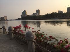 高雄爱河-高雄爱河