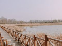 -野鸭湖国家湿地公园