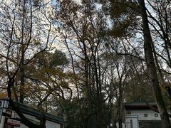 -岳麓山风景名胜区