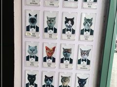 -喵屿·大理花园猫咖