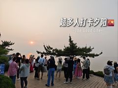 -养马岛旅游度假区