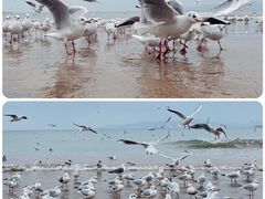 -栈桥海水浴场