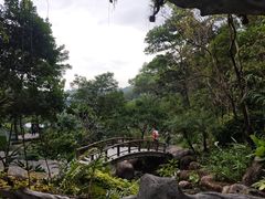 -云溪植物园