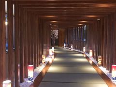 -重庆南山海昌汤都