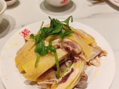 -泰煌鸡·上海白斩鸡·沪菜(平利店)
