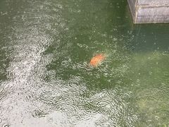 -长春观