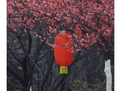 -杏花村文化旅游区