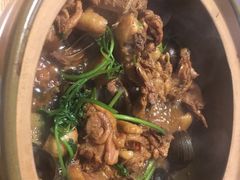 -食爺炭炉鸡煲·烧烤
