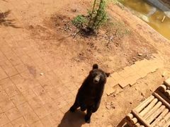 -昆明动物园