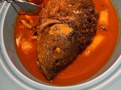 -阿五黄河大鲤鱼(纬三路店)