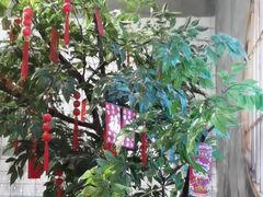 -花悦豆香