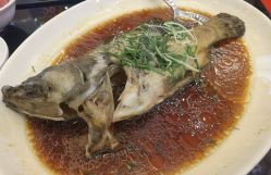 -宁波华侨温德姆至尊豪廷大酒店·宴会厅