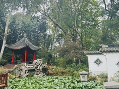 -深圳国际园林花卉博览园