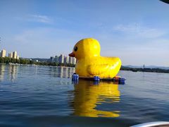 -济南国际园博园