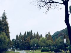 -汤山公园