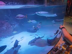 -沈阳海洋探索中心