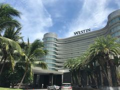 -蓝湾绿城威斯汀度假酒店大堂吧