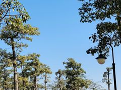 -芒洲湿地公园
