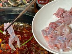 -三道苗苗鱼·美蛙黄辣丁(八里店)