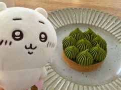 -猫里有甜