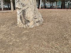 -延庆地质公园博物馆