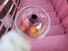-灯塔咖啡馆BOOK·Coffee Shop