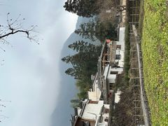 -塔川景区