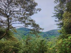 -黄埔油麻山森林公园