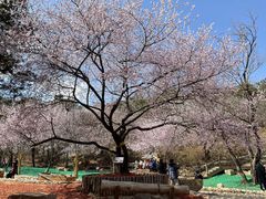 -北京西山国家森林公园