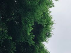 -宜兴龙背山森林公园