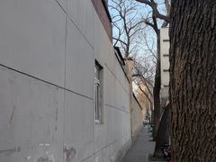 -静园(和平区)