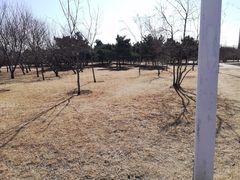 -长春公园(普阳街道)