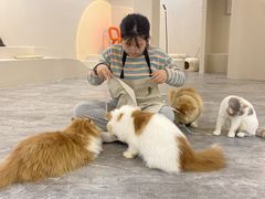-More Fun猫咖 二十只万元加菲主题
