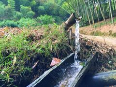 iphone_upload_pic-宁波浙东大竹海景区
