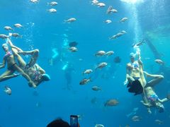 -瑞德姆美人鱼海底演艺主题餐厅(亚龙湾店)
