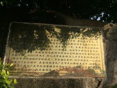 -万绿园